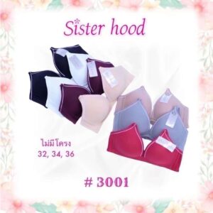 SH 3001